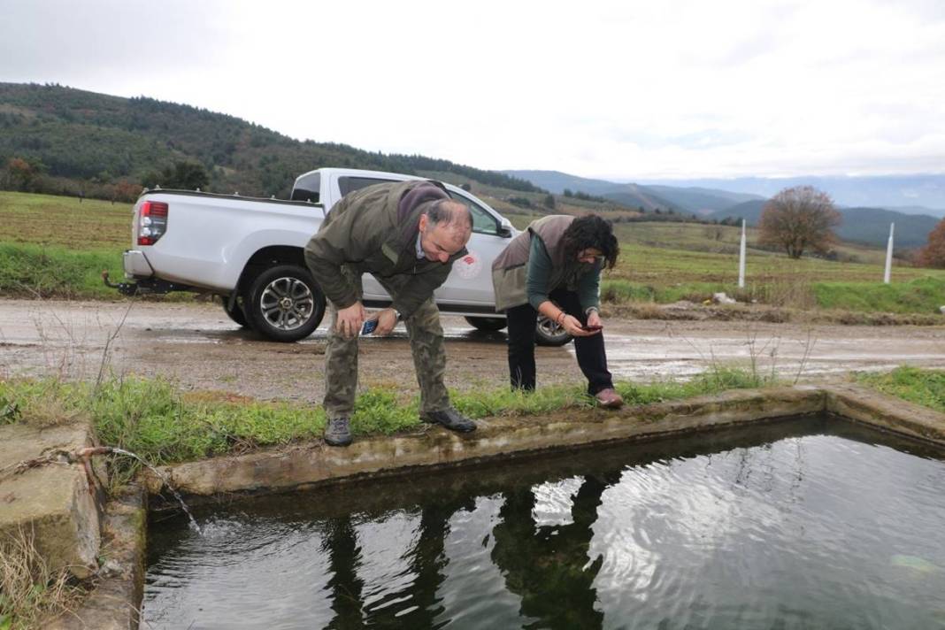 Yol kenarında tesadüfen bulundu: Zoologlar apar topar bu ilimize gitti! Meğer eskiden Kuzey Anadolu'da yaygınmış 4